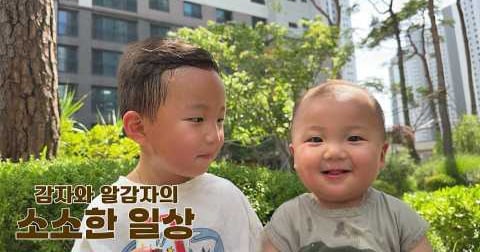 [잡담] 감자상 얘네잖아 | 인스티즈