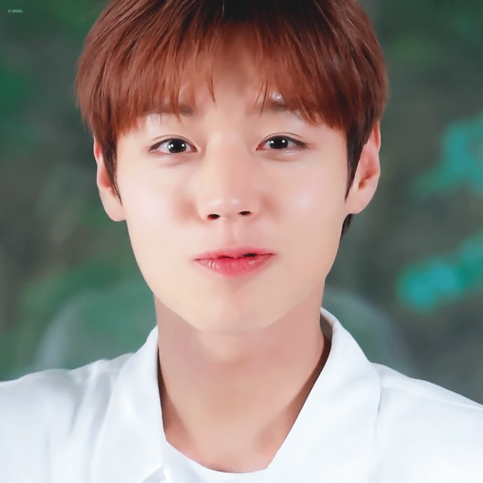 [잡담] 박지훈 덴티광고 진심 주사위6이다 | 인스티즈
