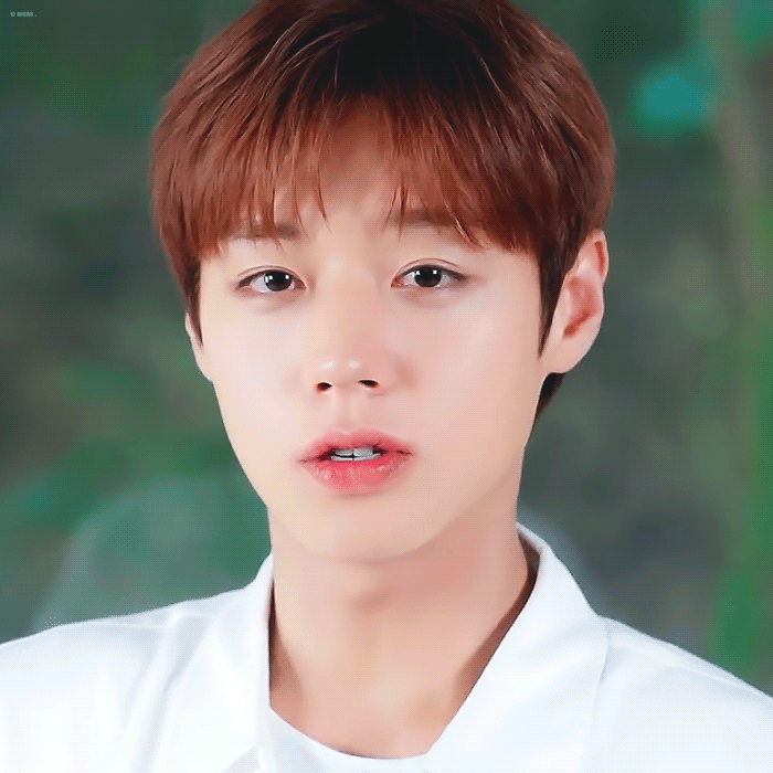 [잡담] 박지훈 덴티광고 진심 주사위6이다 | 인스티즈