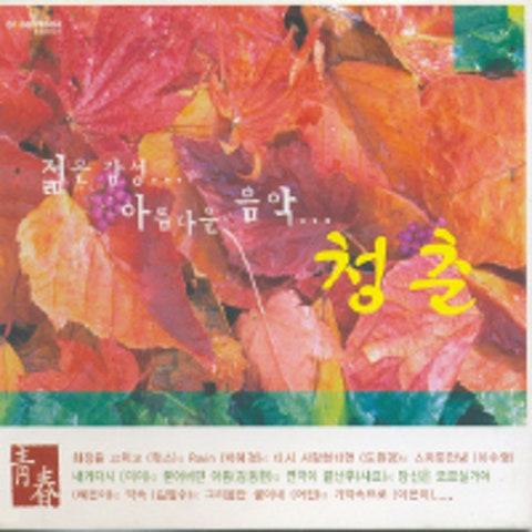 청춘