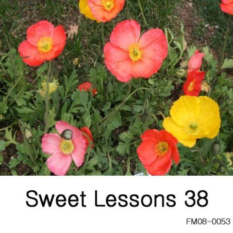 Sweet Lessons 38