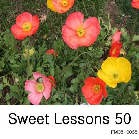 Sweet Lessons 50