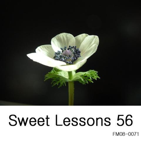 Sweet Lessons 56