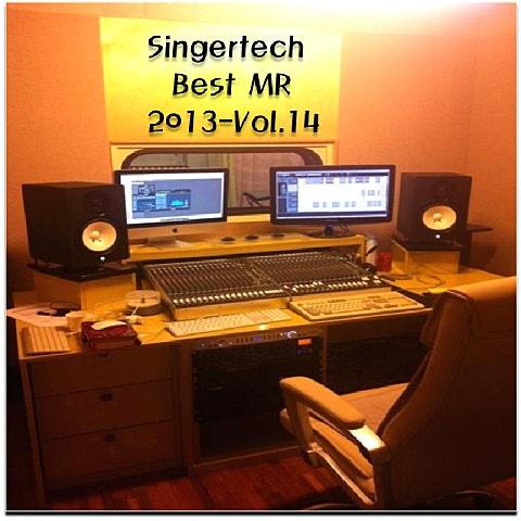 SingerTech MR 2013 Vol. 14