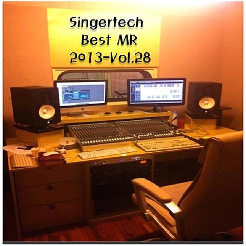 SingerTech MR 2013 Vol. 28
