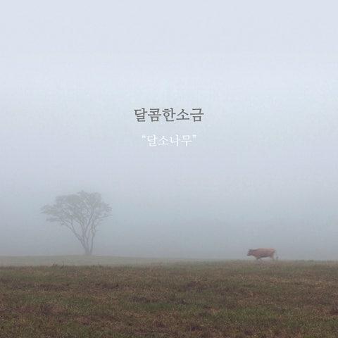 달소나무