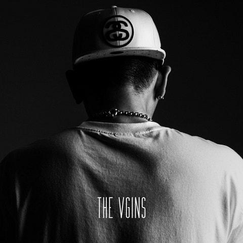 THE VGINS