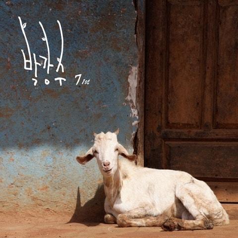 나비