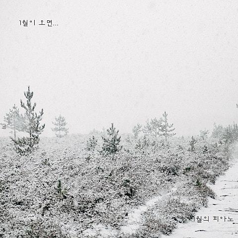 1월이오면