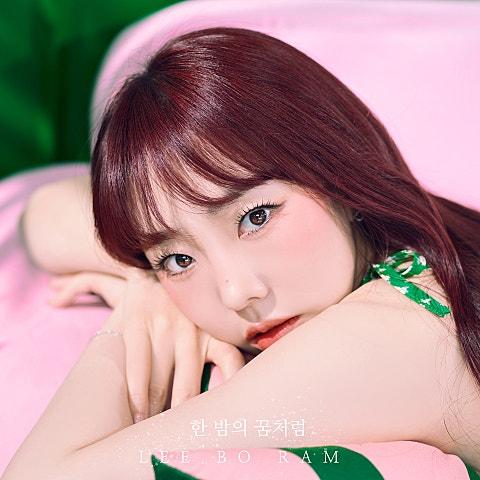 한 밤의 꿈처럼