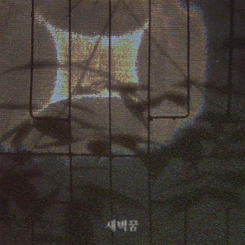 새벽꿈