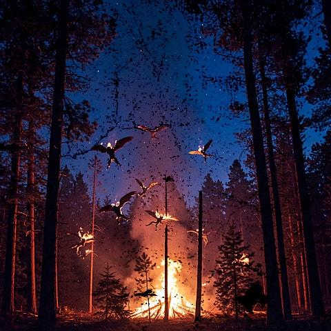 BURN (Feat. The Quiett, Leellamarz, ZENE THE ZILLA)