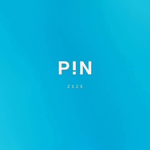 PIN PROJECT X ZEZE