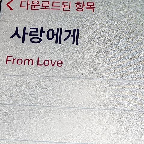 사랑에게