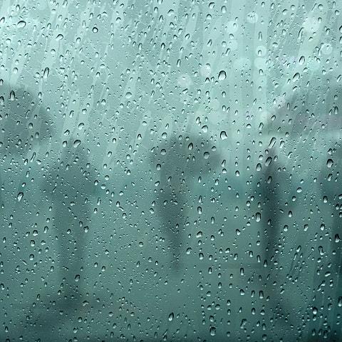 비 내리는 거리에서