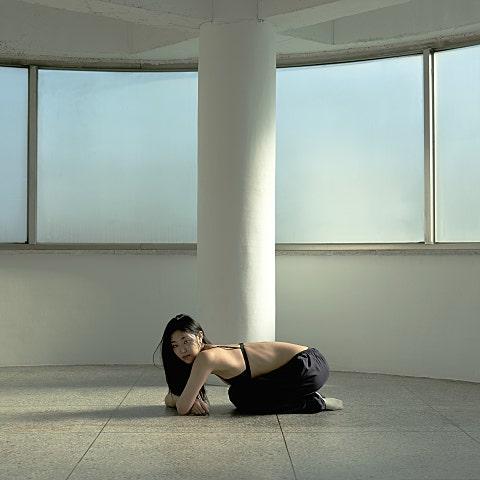 Shelter