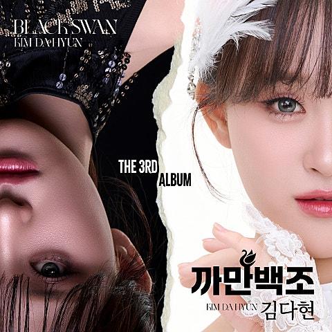 까만백조