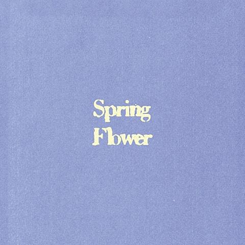 Spring Flower