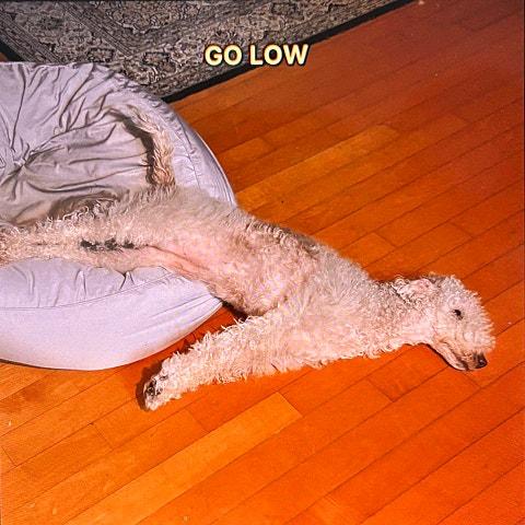GO LOW