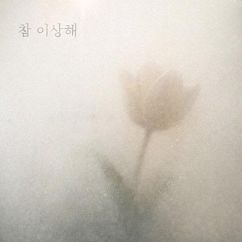 참 이상해
