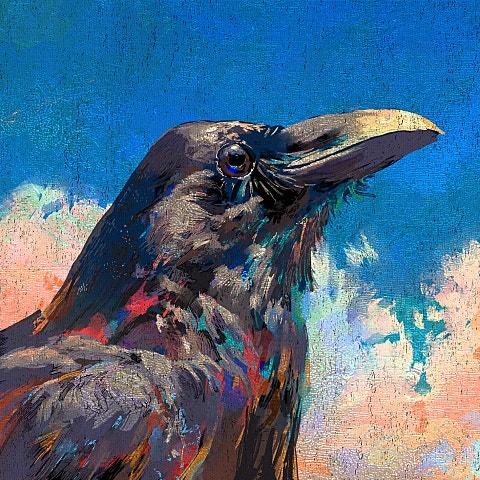 Karasu - Raven