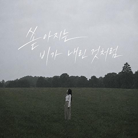 쏟아지는 비가 내린 것처럼