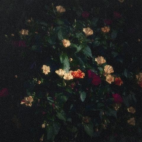 흐릿한 잠 (feat. Mingginyu (밍기뉴))