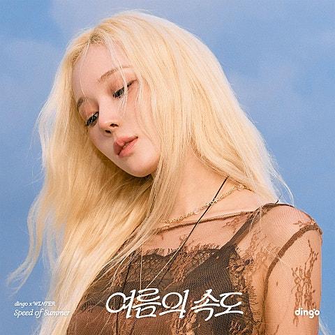 여름의 속도
