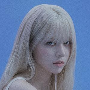 아티스트 프로필 사진 이미지