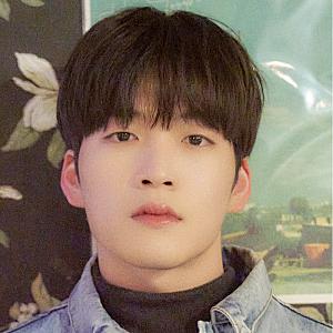 아티스트 프로필 사진 이미지