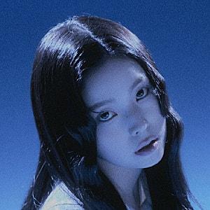 아티스트 프로필 사진 이미지