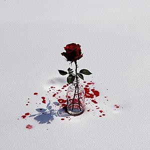 아티스트 프로필 사진 이미지