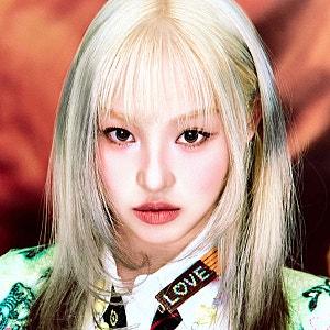 아티스트 프로필 사진 이미지