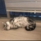 대표 사진
