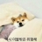 대표 사진