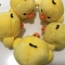 대표 사진