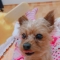 대표 사진