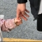 대표 사진