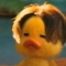 대표 사진