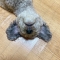 대표 사진