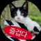 대표 사진