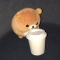 대표 사진