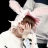 대표 사진