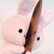 대표 사진
