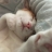 대표 사진