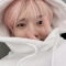 대표 사진