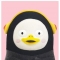 대표 사진