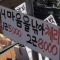 대표 사진