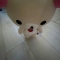 대표 사진