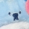 대표 사진